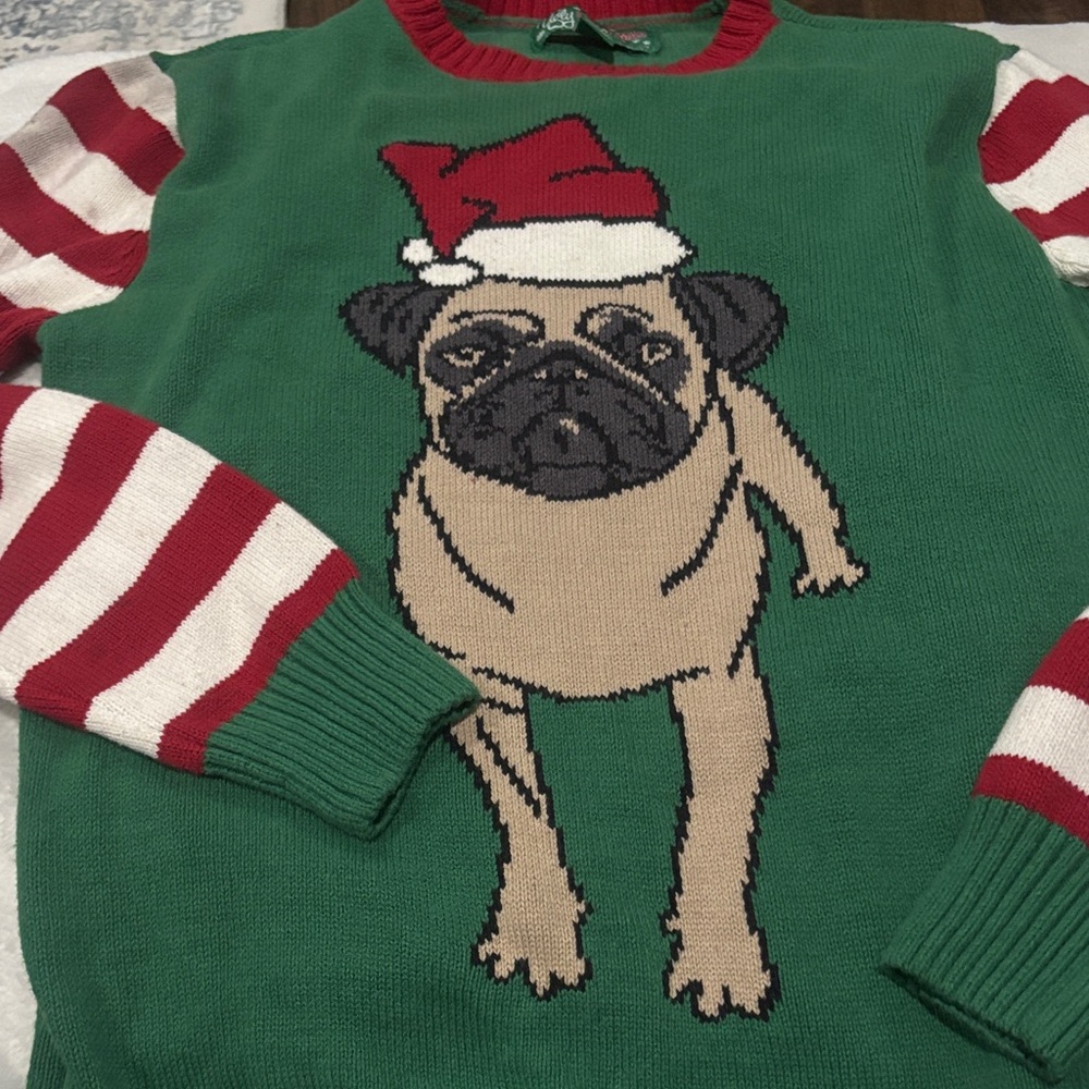 ⭐️2/$10 - Green Pug Christmas Sweater